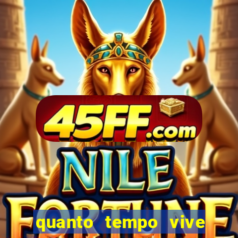 quanto tempo vive um passarinho bem-te-vi